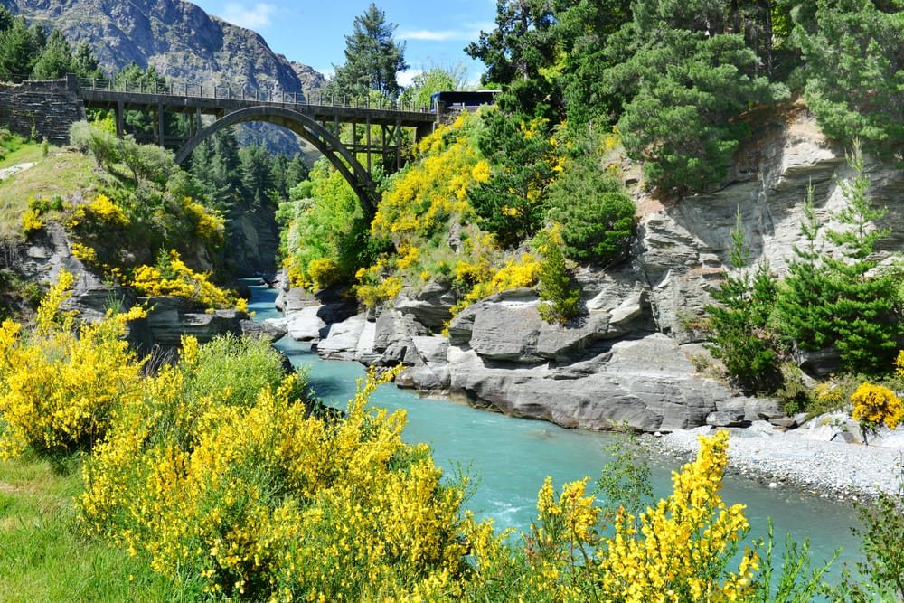 Shotover Canyon