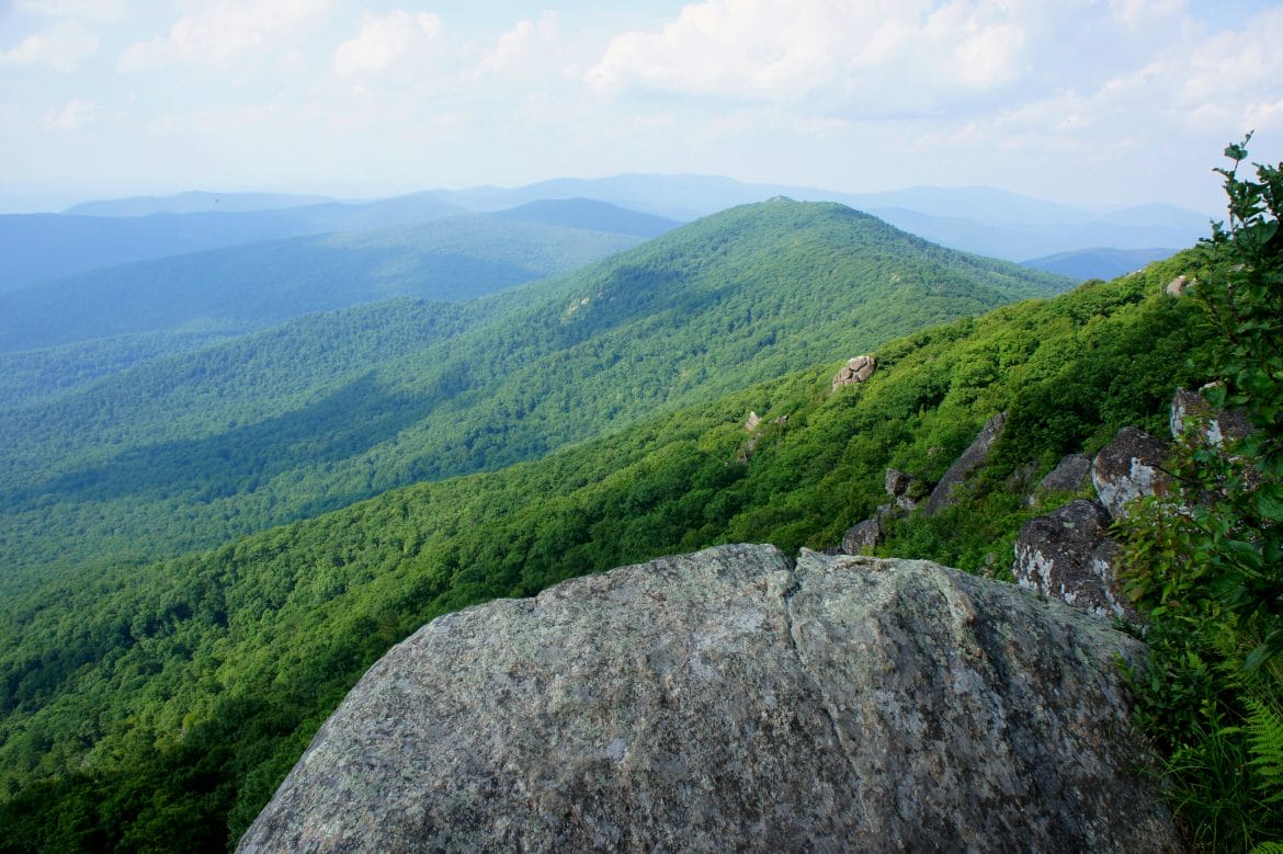 Shenandoah National Forest