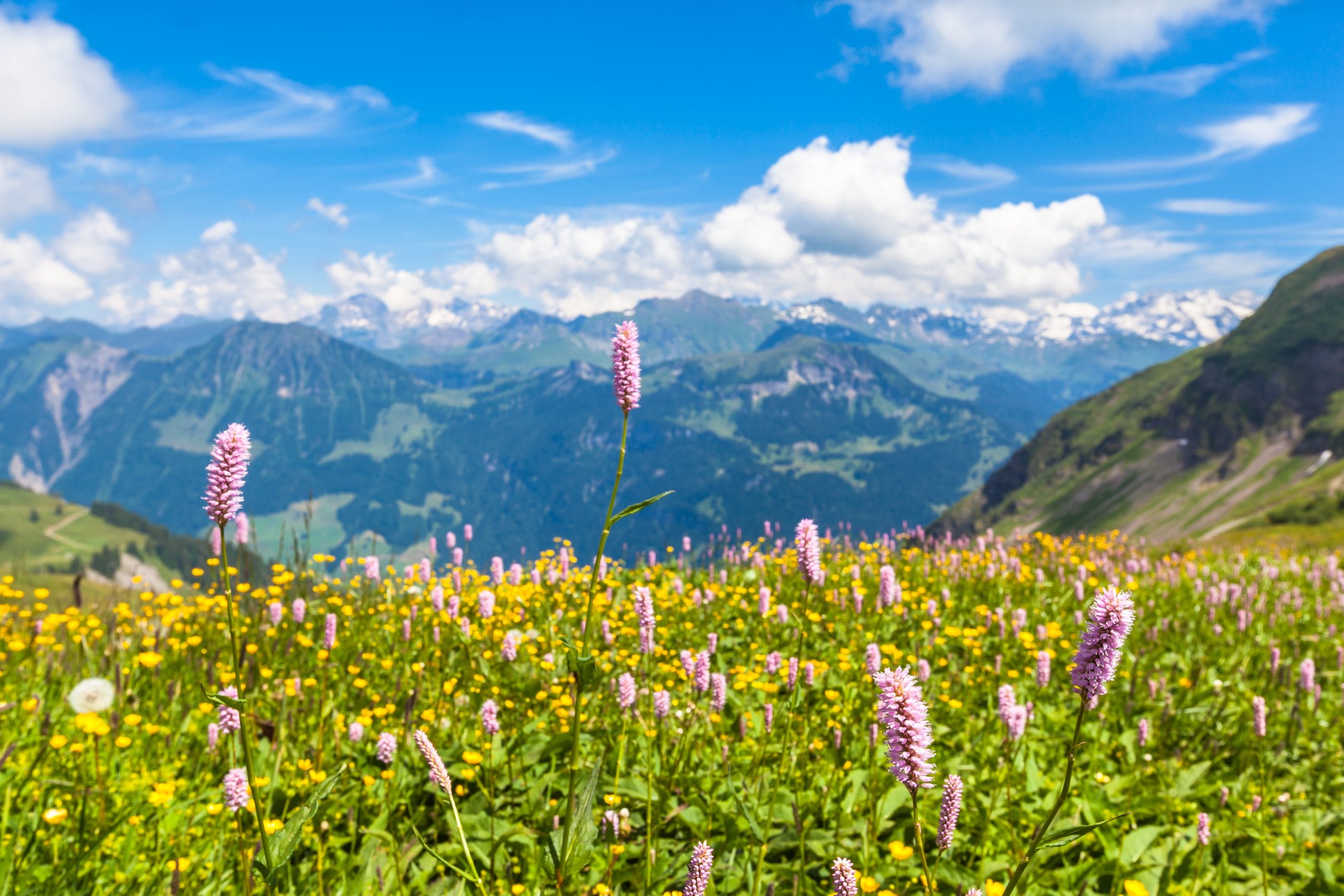 Exploring the Beauty of Bernese Oberland: A Swiss Travel Guide